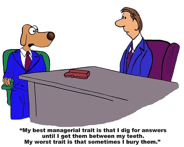 Best AI Interview Practice Tools.